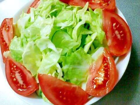 塩キャベきゅうりにトマトのサラダ